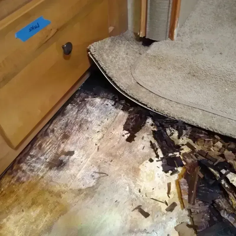 Best Wood Floor Water Damage Service in Dolan Springs, AZ